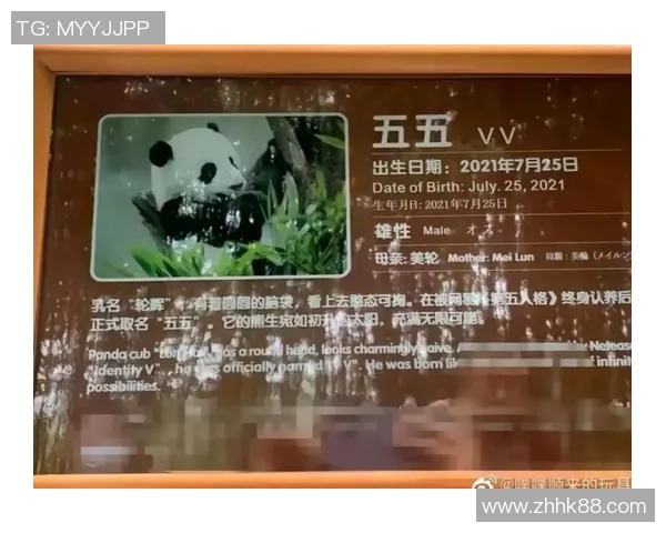 熊猫体育竞猜分析助你精准预测赛事结果提升投注成功率