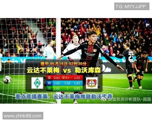 探索6686体育会员福利的独特优势与专属优惠活动全解析