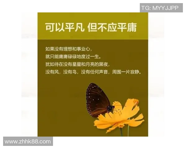 超凡国际：追求卓越之路，开启非凡人生新篇章