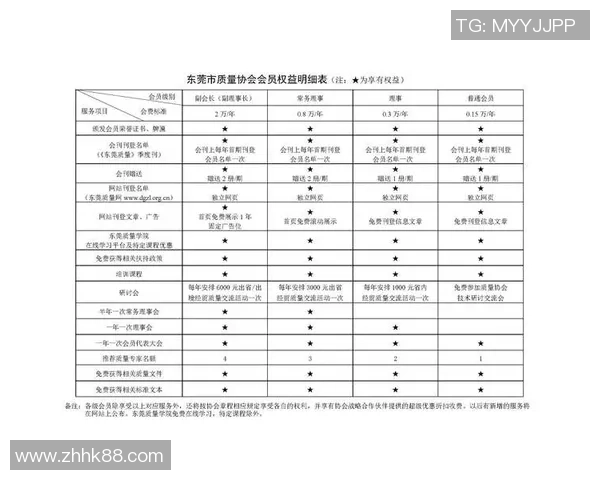 红桃国际VIP晋升通道全攻略助你快速提升会员等级与权益